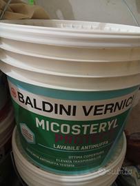 pittura lavabile antimuffa 