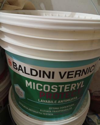 pittura lavabile antimuffa 