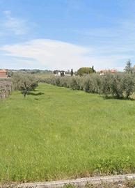 Terreno misto agricolo/edificabile