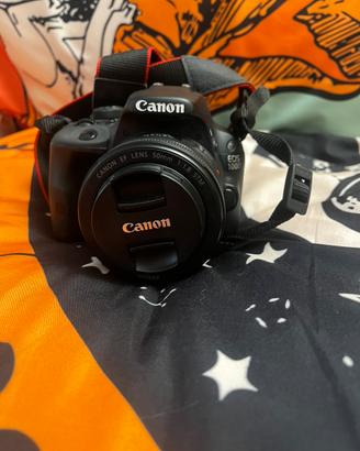 Canon EOS 100D + 50mm f/1.8