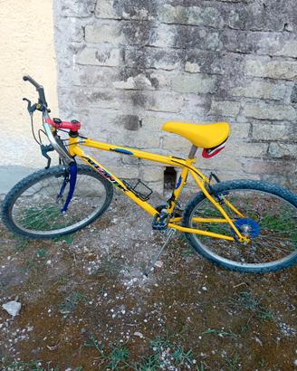 mtb 29