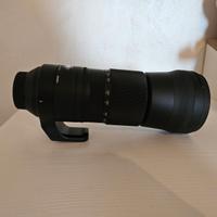 Teleobiettivo Sigma 150-600 F5-6.3 DG per Nikon