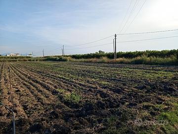 Terreno pianeggiante