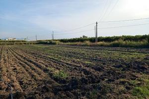 Terreno pianeggiante