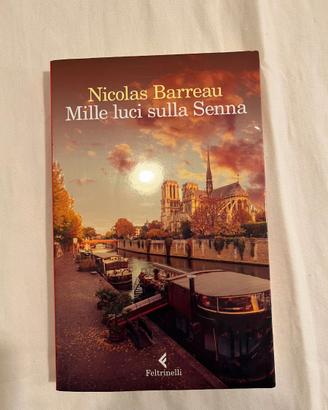 Mille luci sulla Senna di Nicolas Barreau