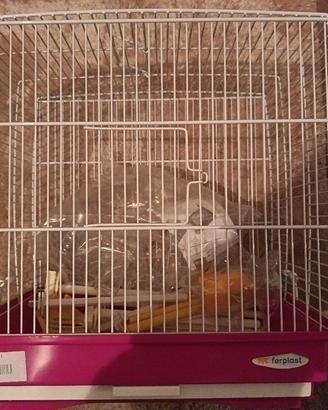 Gabbietta Ferplast modello Rekord