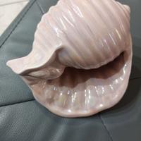 Decorazione a forma di conchiglia in porcellana