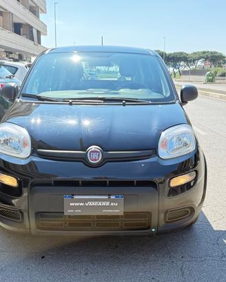 Fiat Panda 1.0 FireFly S&S Hybrid City Life LED PD