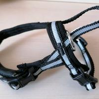 pettorina per cani di piccola taglia o per gatti