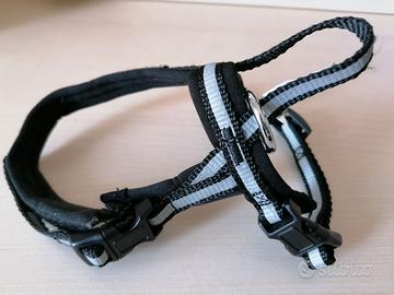 pettorina per cani di piccola taglia o per gatti