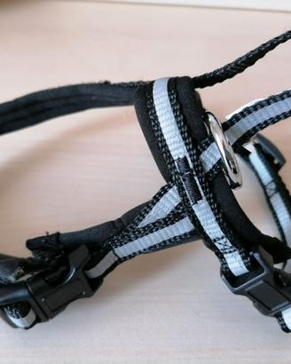 pettorina per cani di piccola taglia o per gatti