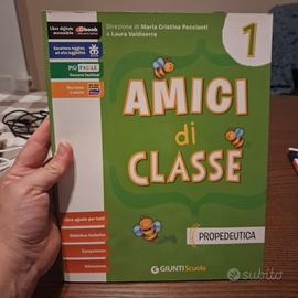 amici di classe 1