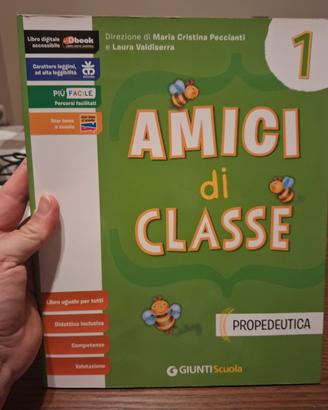 amici di classe 1
