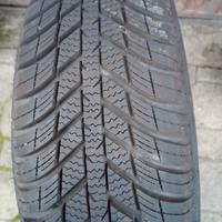 gomme quattro stagioni 175/70R13