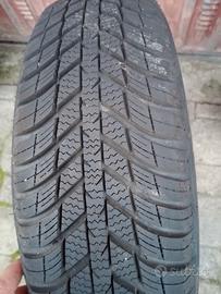 gomme quattro stagioni 175/70R13
