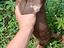 Immagine 9