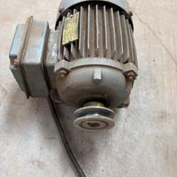 Motore elettrico 220/380V trifase