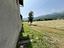 Immagine 8