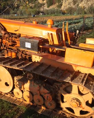 Trattore Landini C35 cingolato