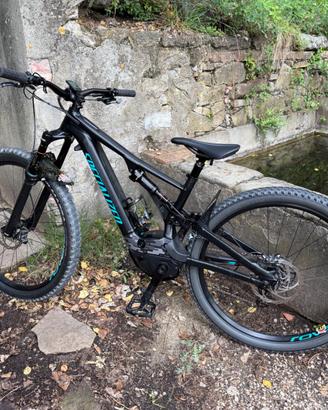 Specialized Turbo Levo (Fine 2019)