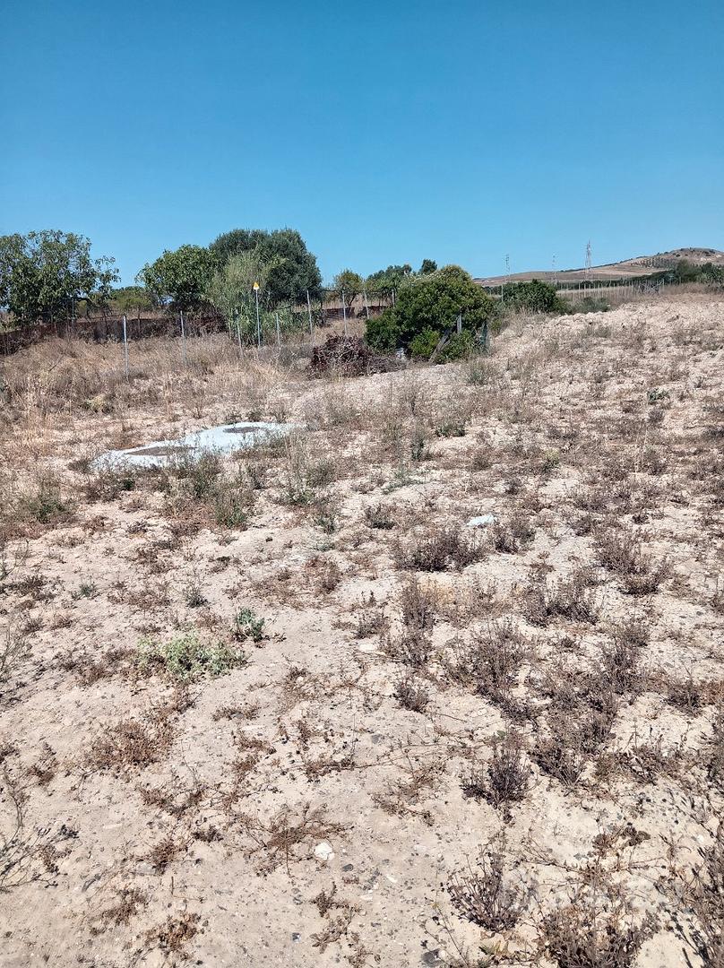 Terreno agricolo a selargius - Vista 3