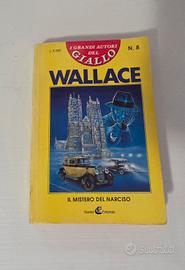 il mistero del narciso