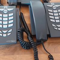 Telefono Dolphin Easy 