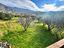 Immagine 14