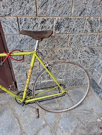 Palmerina bianchi