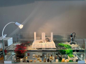 Tartarughiera 80L completa con 3 tartarughe