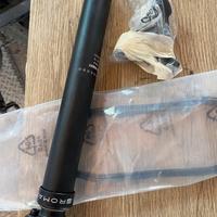 Reggisella telescopica