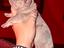 Immagine 3