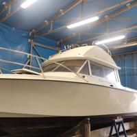 Chris craft 25