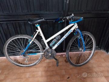 Bicicletta