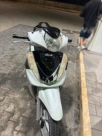 Sh 300