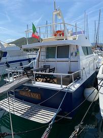 Tigulio 43 flay Linea d assi 2 aifo 270 cv gasolio