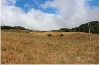 RGE 41/2006 Trib ENNA(EX NICOSIA) - LOTTO 9