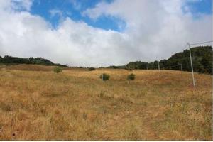 RGE 41/2006 Trib ENNA(EX NICOSIA) - LOTTO 9