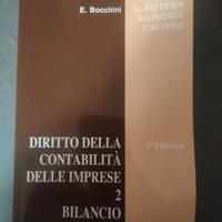 Diritto della contabilità delle imprese 2 - 4°ed.