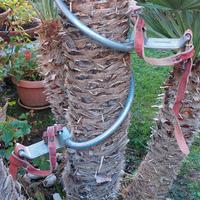 Ramponi in alluminio per pali o alberi 