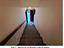 Immagine 11