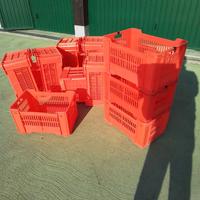 Cassette in plastica per frutta/verdure