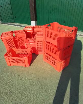 Cassette in plastica per frutta/verdure