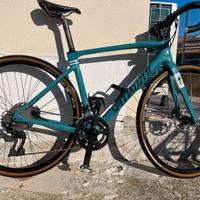 Specialized Roubaix Sport Carbon