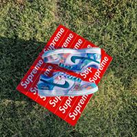 Nike SB Dunk Low Futura Laboratories Bleached Aqua