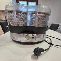 Vaporiera Tefal