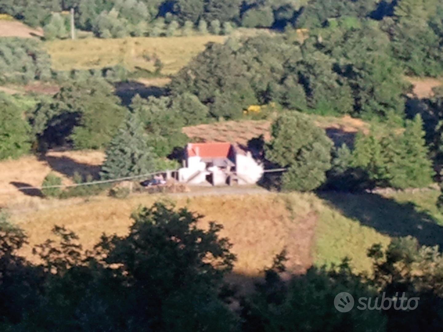 Terreno Agricolo - Vista 5