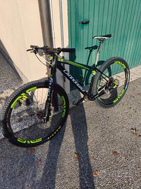 cannondale carbon team