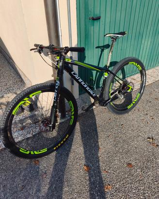 cannondale carbon team