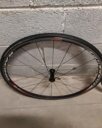 ruote fulcrum5